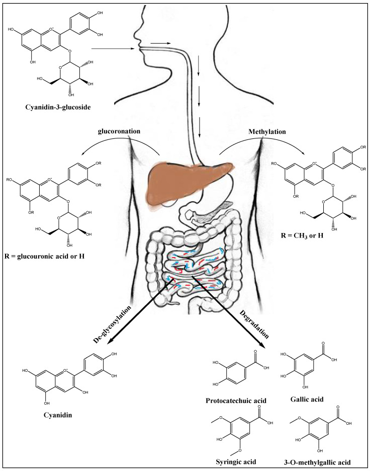 Figure 5