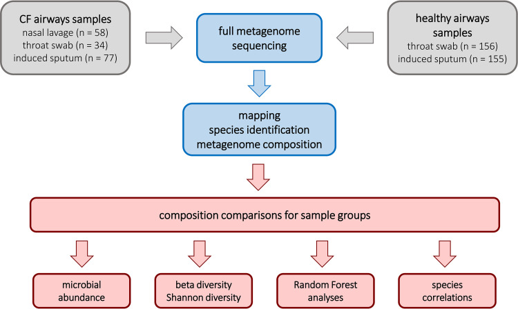 FIG 2