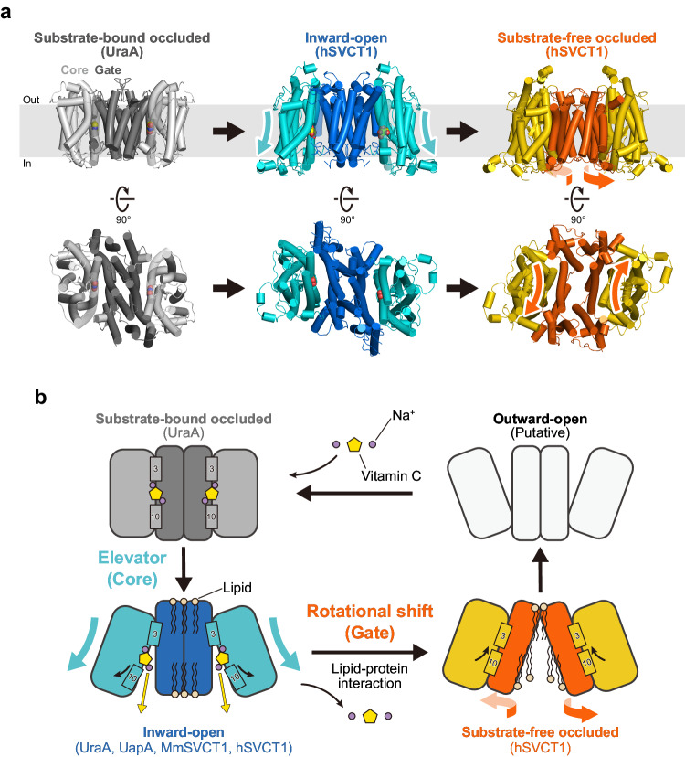 Fig. 6