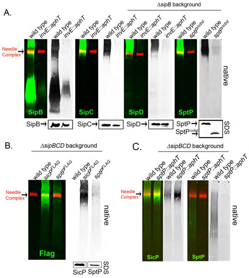 Fig. 4