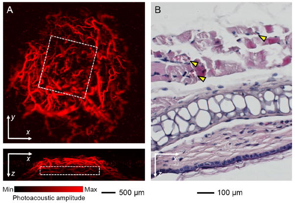 Figure 6