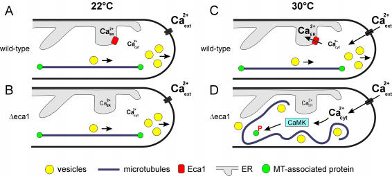 Figure 9.