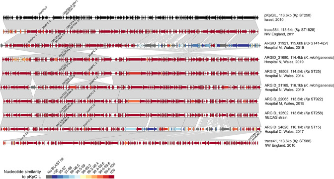 Fig. 4.