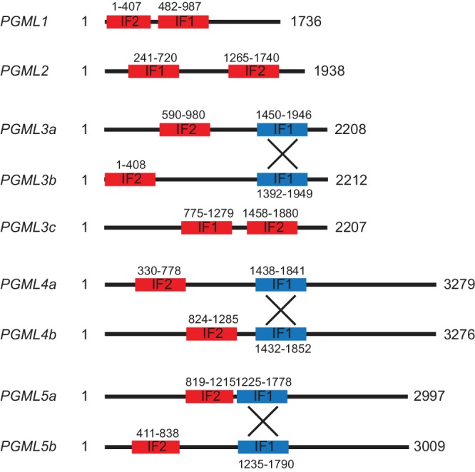 Figure 3—figure supplement 1.