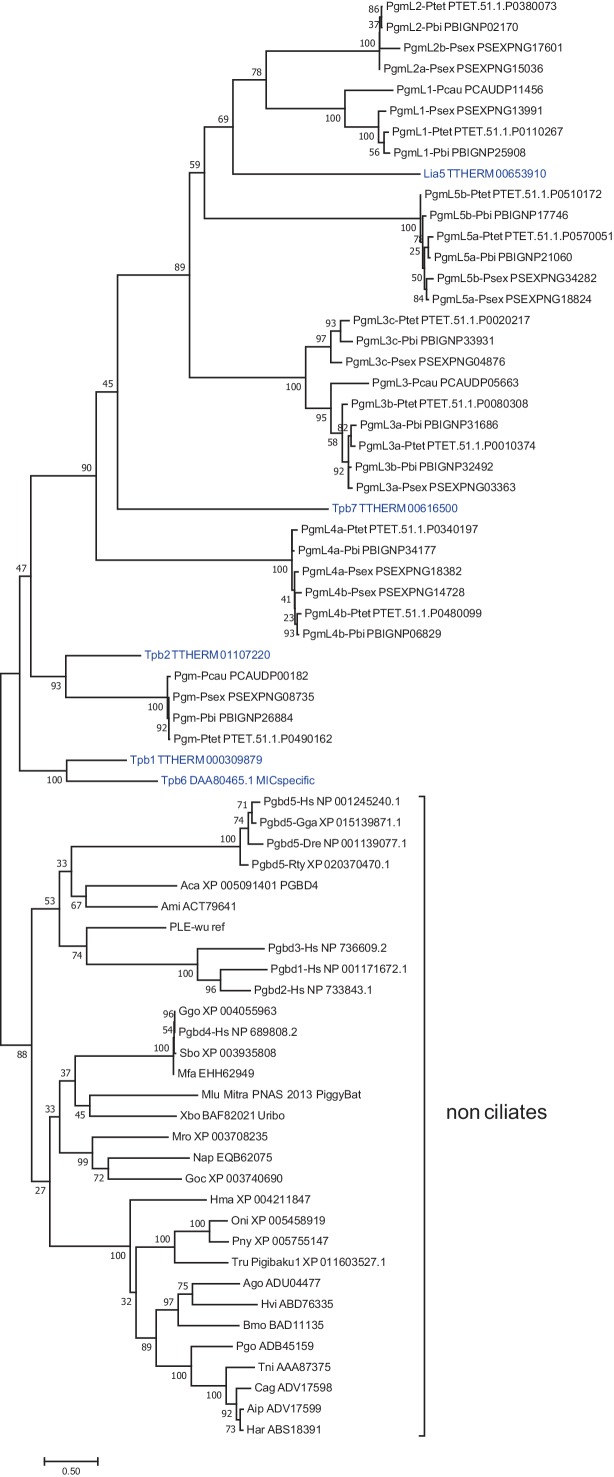 Figure 1—figure supplement 2.