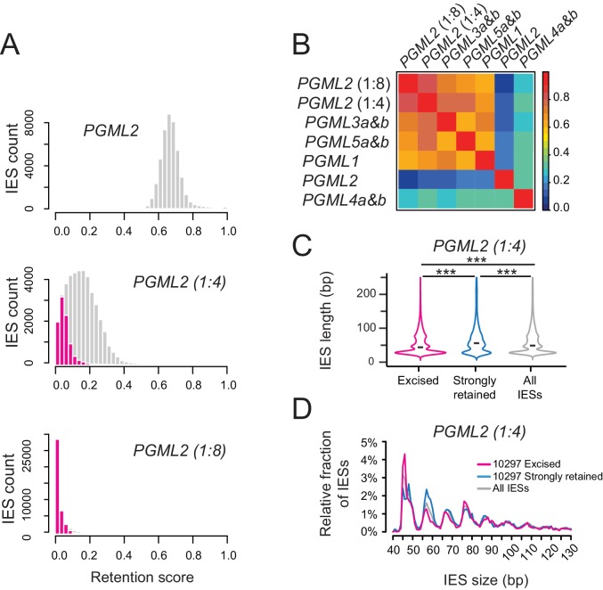 Figure 5—figure supplement 2.