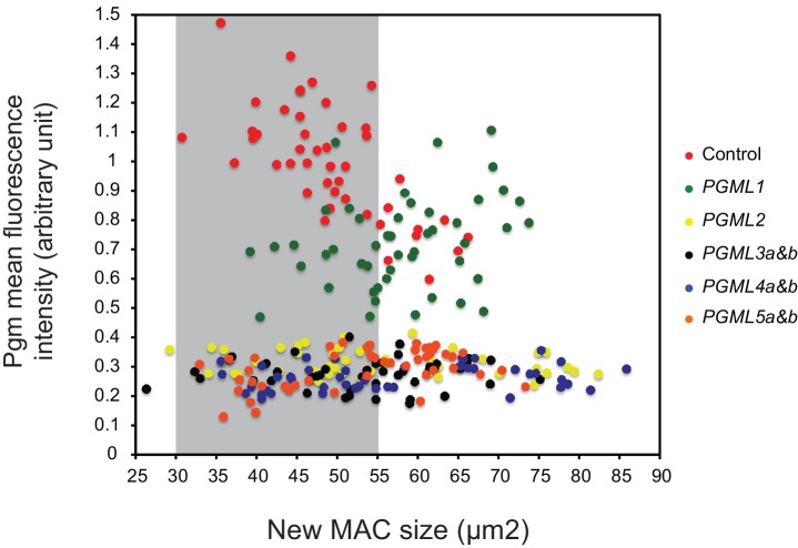 Figure 4—figure supplement 1.