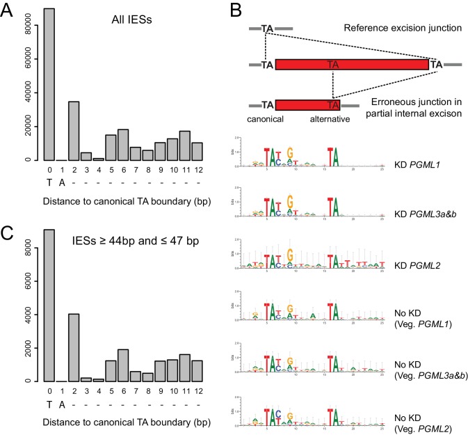 Figure 6—figure supplement 3.