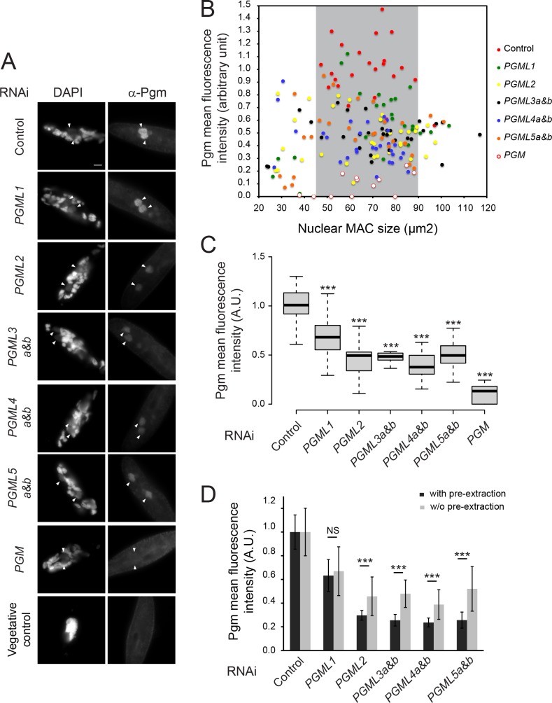 Figure 4—figure supplement 2.