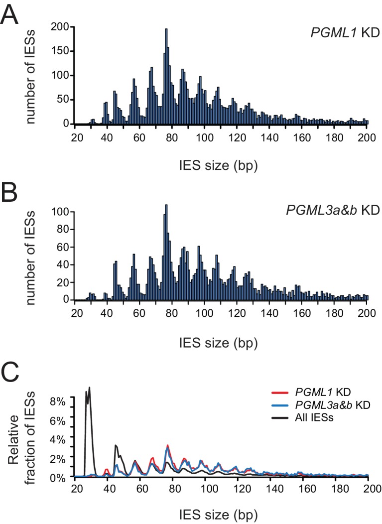 Figure 6—figure supplement 4.