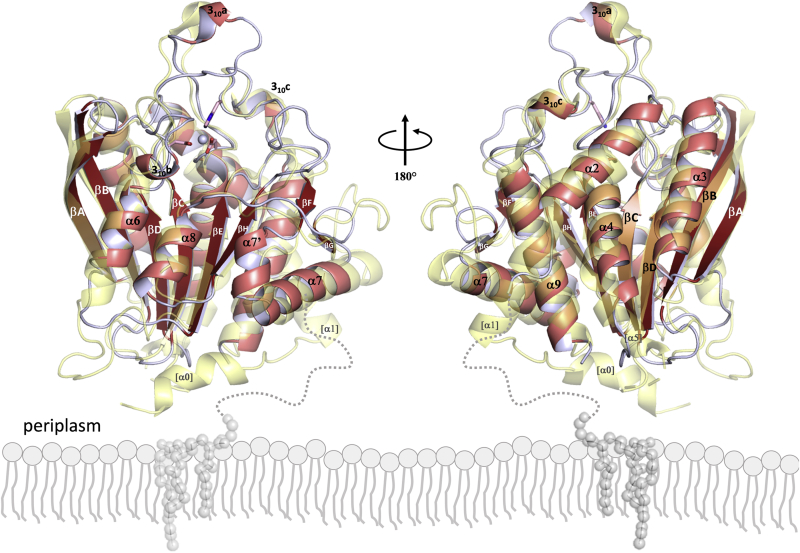 Figure 2