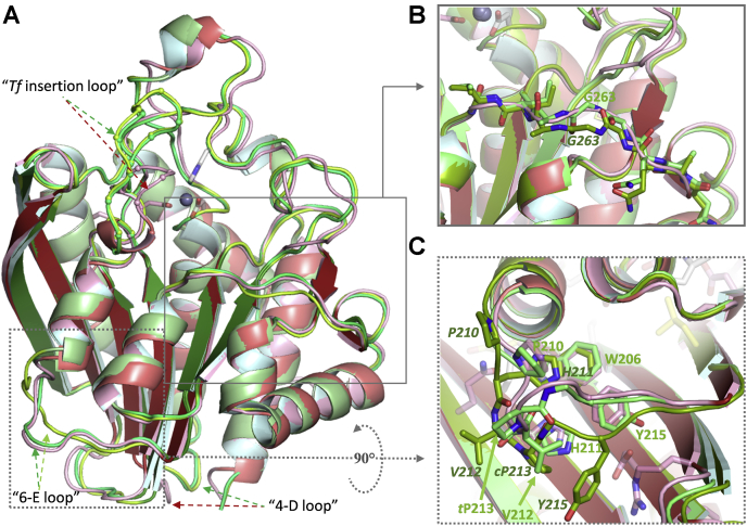 Figure 3