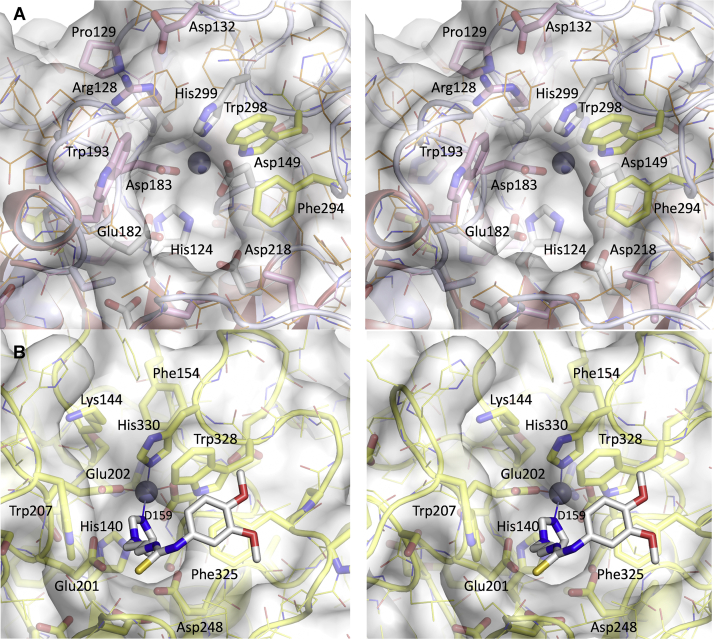 Figure 5