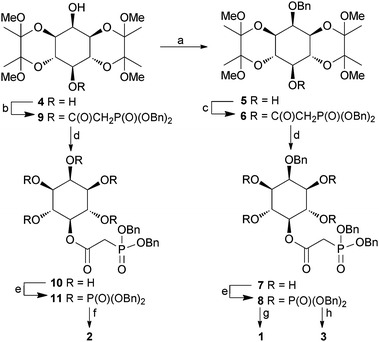 Scheme 1