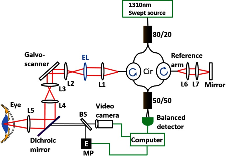 Fig. 1