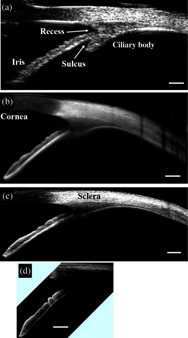 Fig. 8