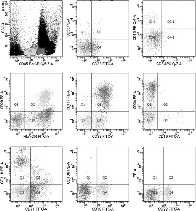 Fig. 4