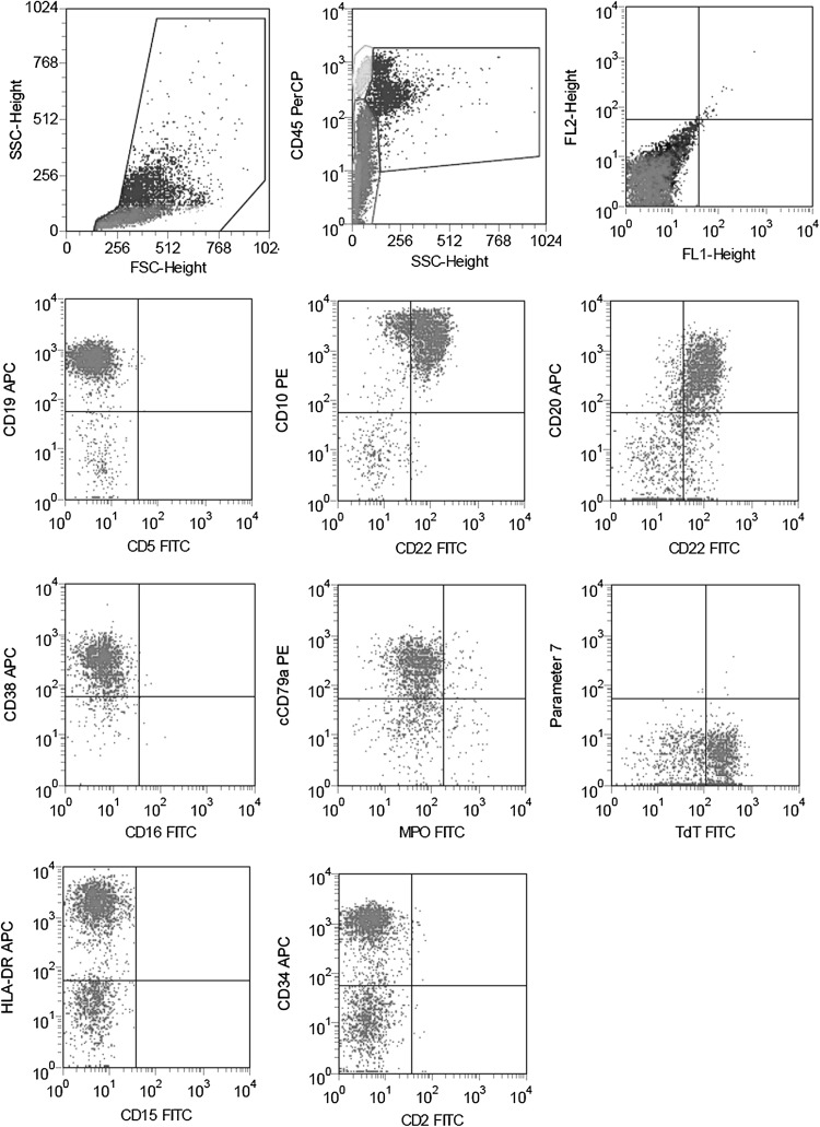 Fig. 1