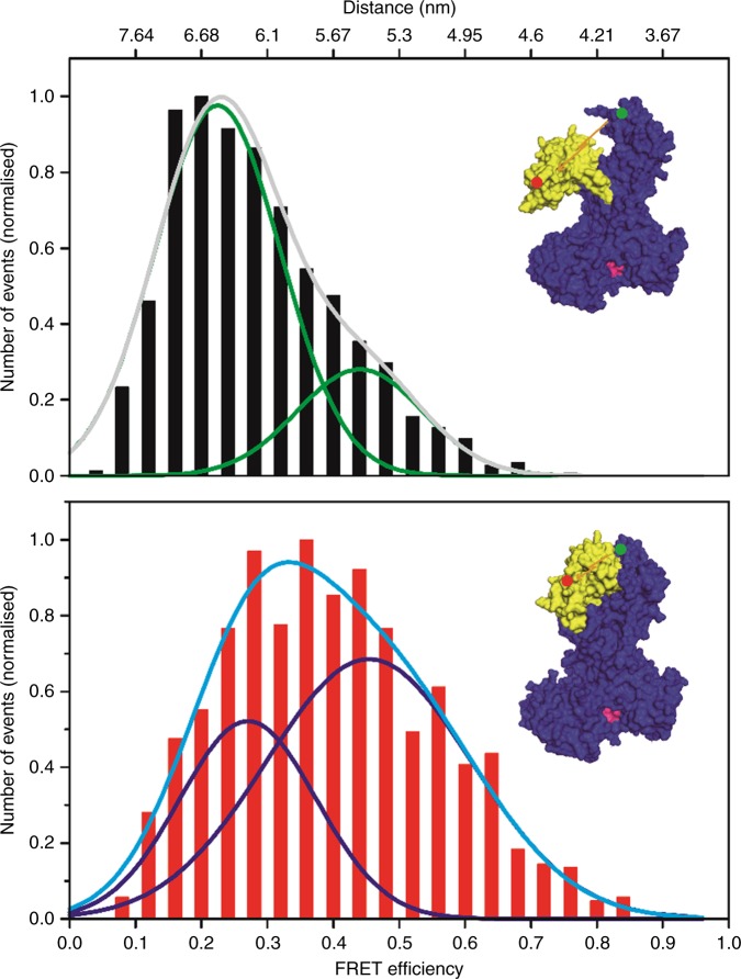 Fig. 2