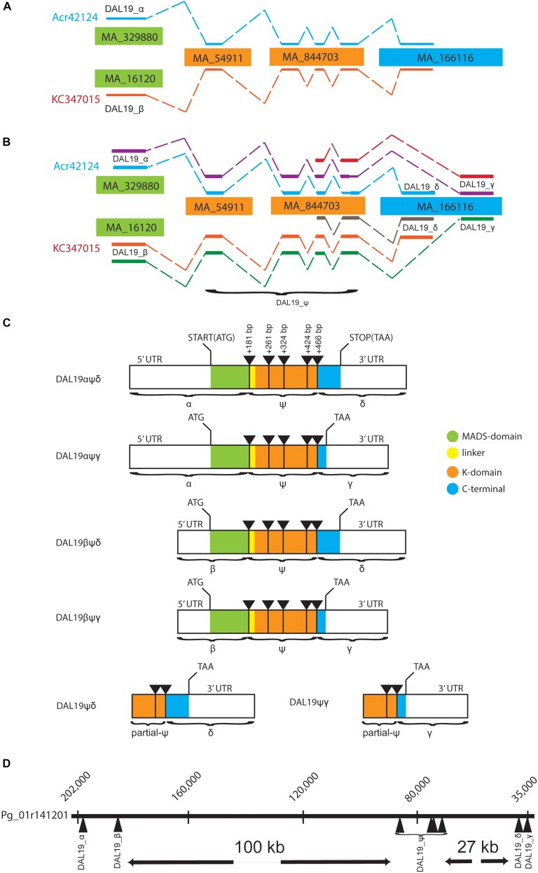 FIGURE 1