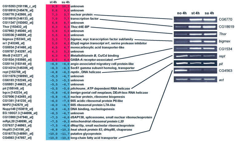 graphic file with name cdf600f4.jpg