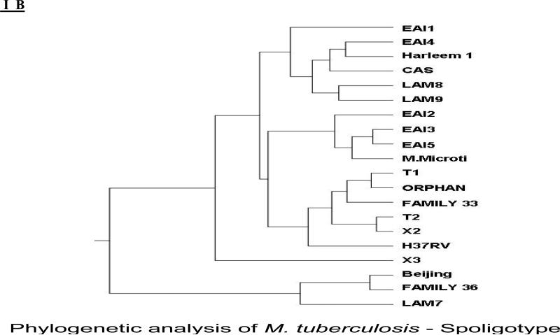 graphic file with name nihms-54049-f0003.jpg