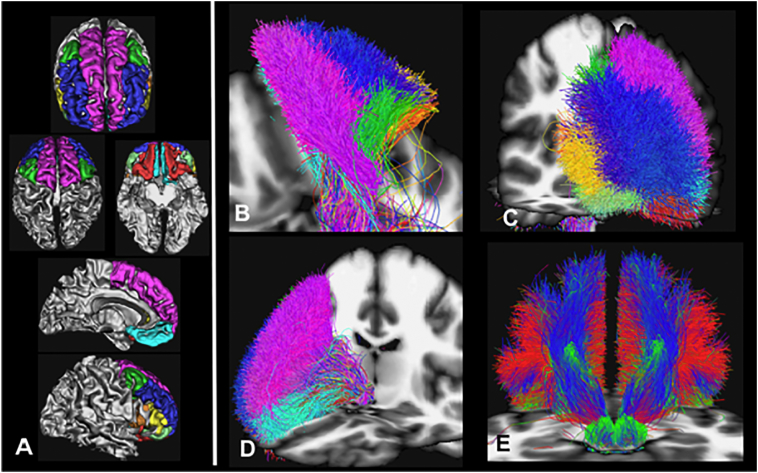 Fig. 3