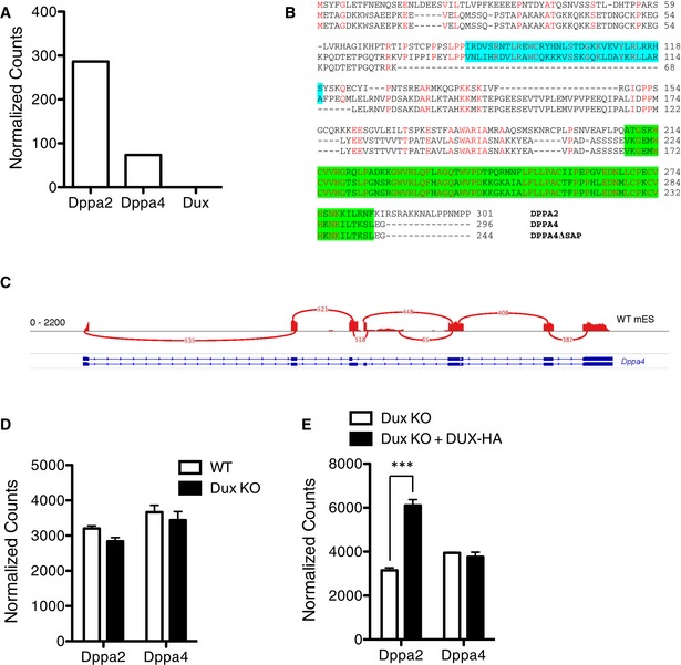 DPPA2 and DPPA4 are necessary to establish a 2C‐like state in mouse ...