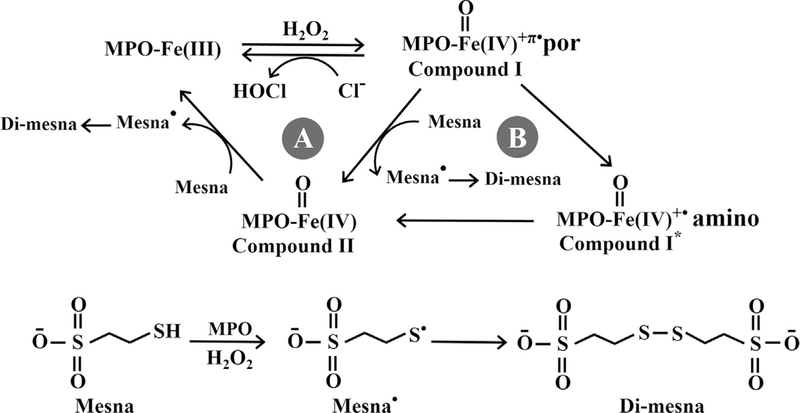 Fig. 9.