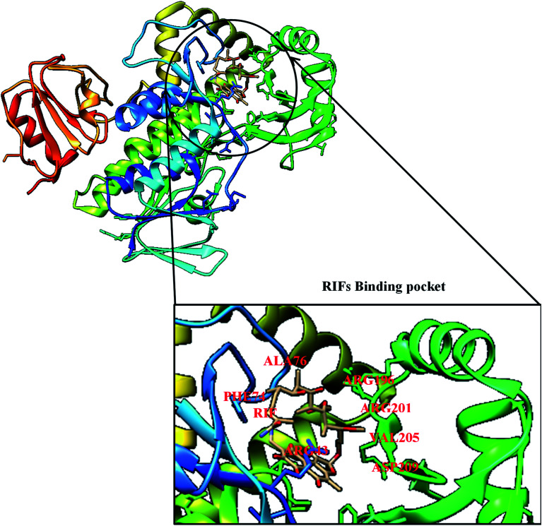 Fig. 3