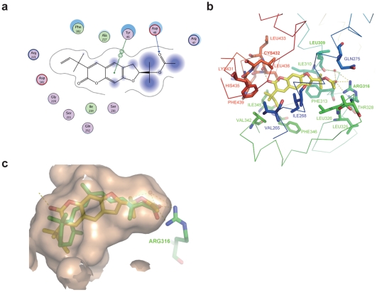 Figure 7