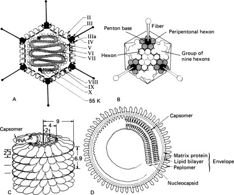 FIG. 1-1