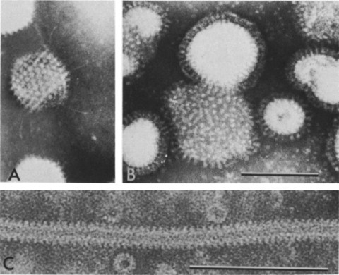 FIG. 1-3