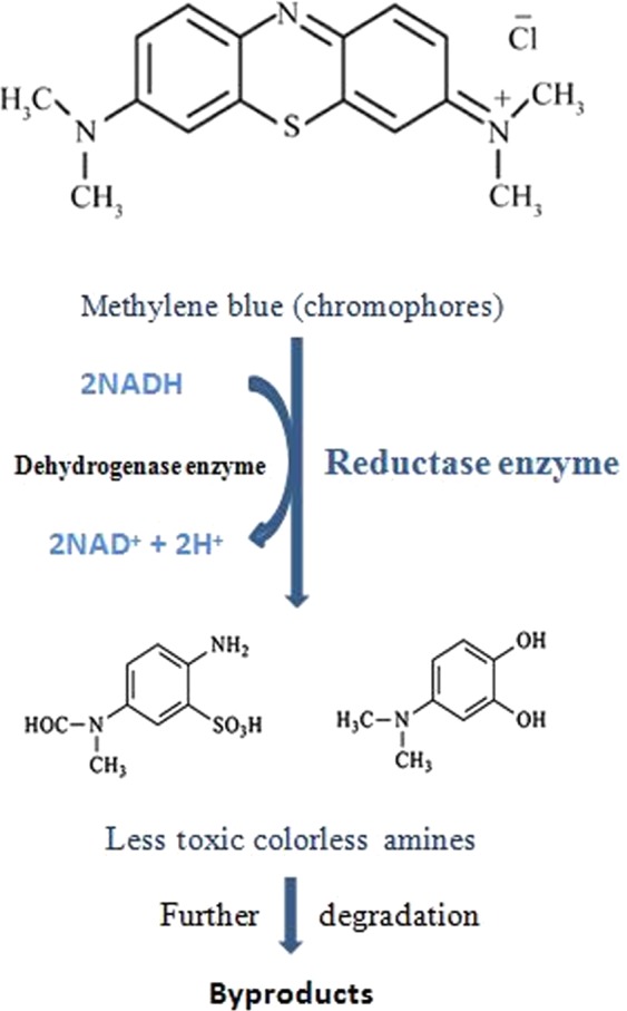 Figure 9