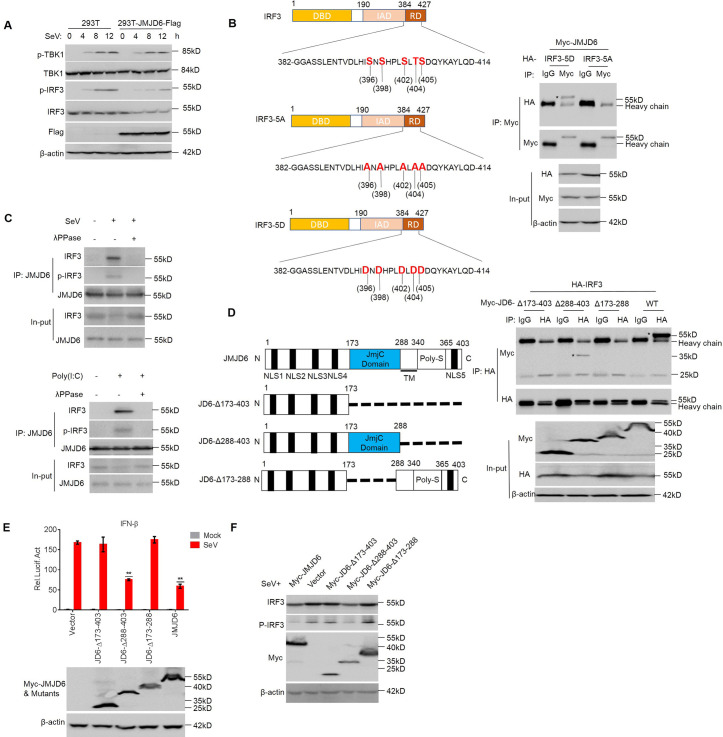 Fig 4