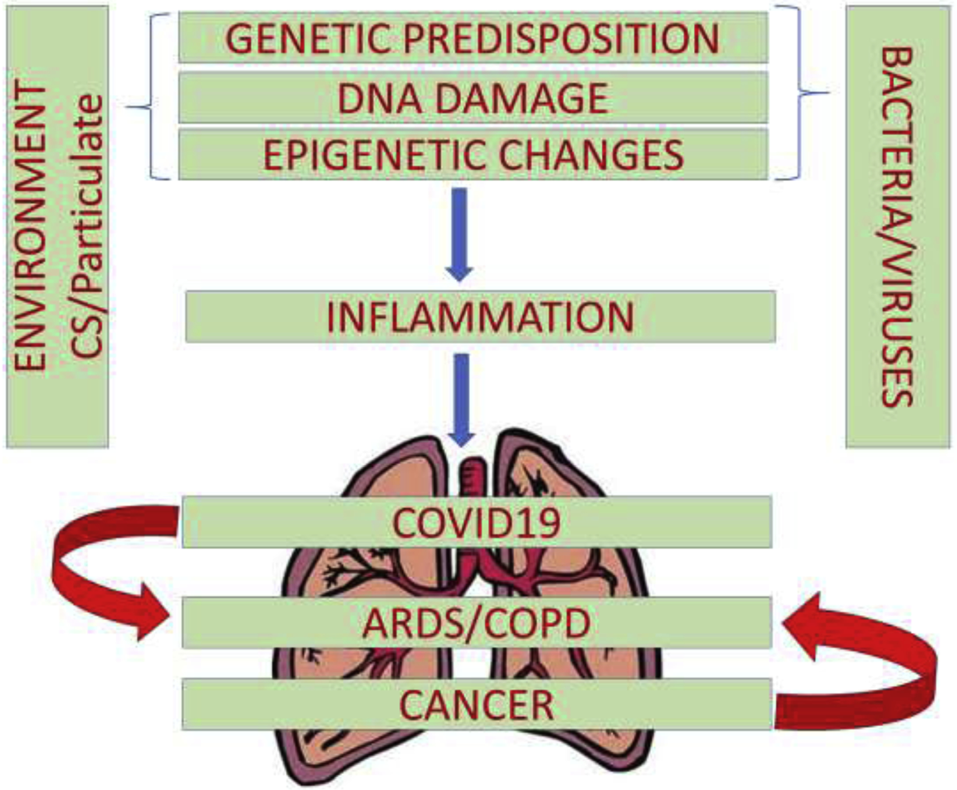 Figure 1: