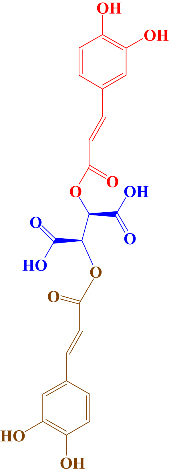 Figure 1