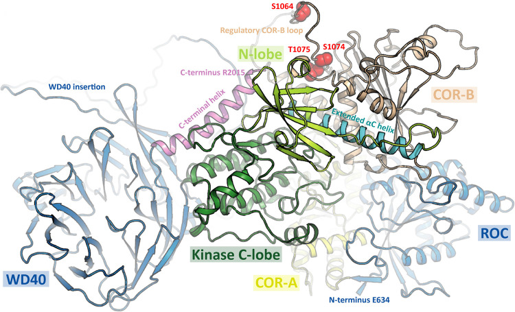 Figure 9.