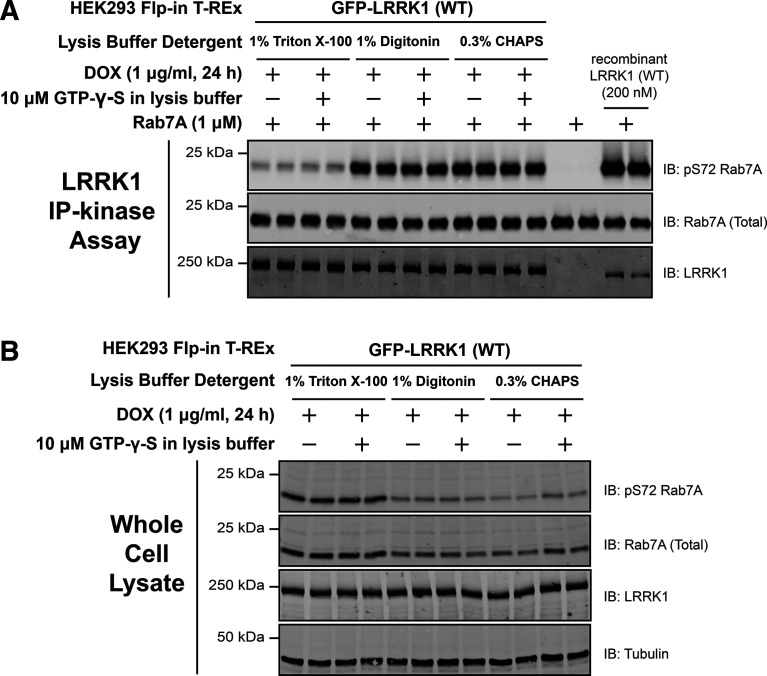 Figure 2.