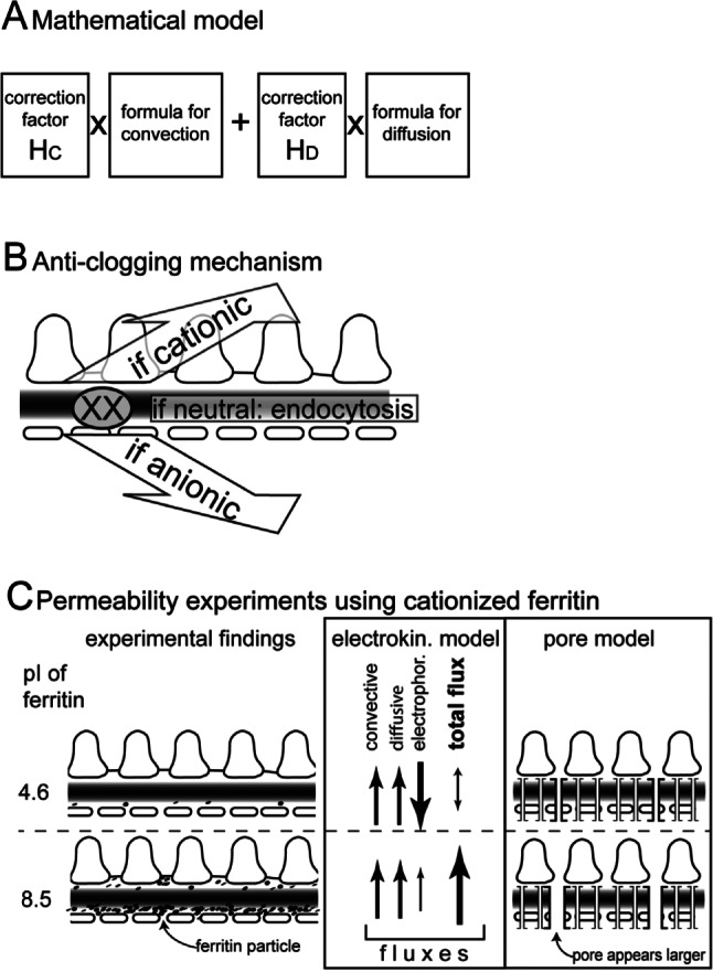 FIGURE 2 —