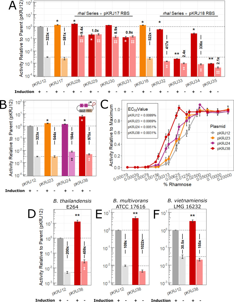 FIG 3