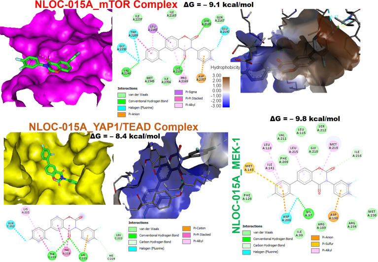 Figure 11