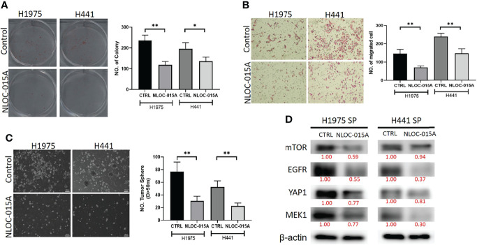 Figure 14