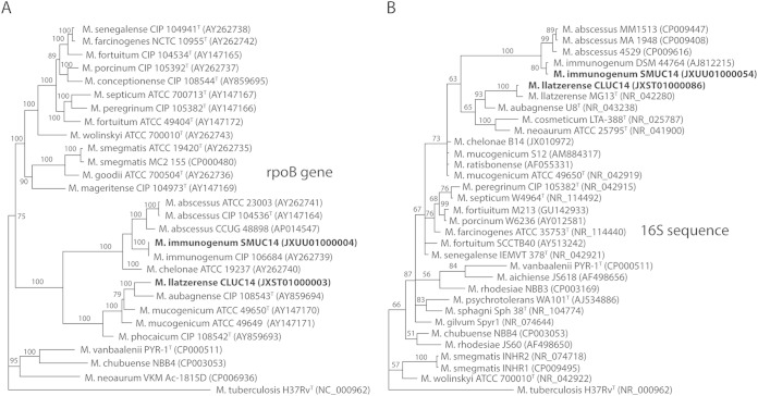 FIG 2