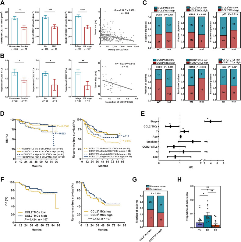 Figure 5. MCs correlated with therapeutic response to TKI therapy but not chemotherapy. A, Clinic relevance of CCL2+ MCs (Mann–Whitney). B, Clinic relevance of CCR2+ CTLs (two-tailed unpaired t test). C, Oncogene mutation relevance of CCL2+ MCs or CCR2+ CTLs (χ2 test). D, The prognostic value of CCL2+ MCs–CCR2+ CTLs in surgically resected LUAD. P values were determined by the log-rank test. E, Nomogram showing independent prognostic factors for survival in surgically resected LUAD by Cox proportional hazard analyses (*, independent prognostic factors). F, The prognostic value of CCL2+ MCs in patients with LUAD treated with chemotherapy. P values were determined by the log-rank test. G, The correlation of risk of recurrence after chemotherapy and CCL2+ MCs. The P value was determined by the χ2 test. H, MC quantification as a proportion of immune cells (Mann–Whitney; n = 15 for the TN group; n = 14 for the RD group; and n = 20 for the PD group). *, P < 0.05; **, P < 0.01; ***, P < 0.001; ****, P < 0.0001; ns, nonsignificant.