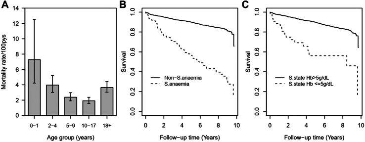 Fig. 4