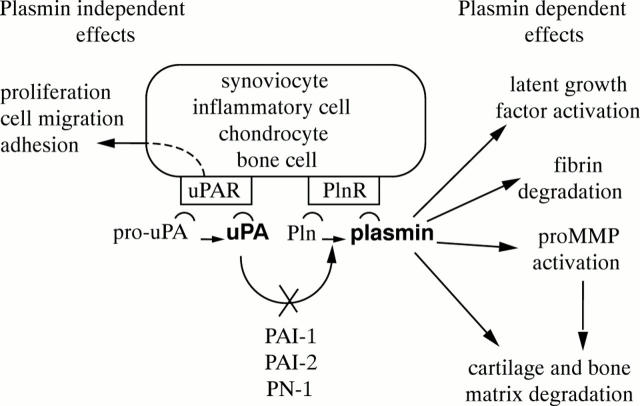 Figure 1  