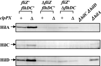 FIG. 5.