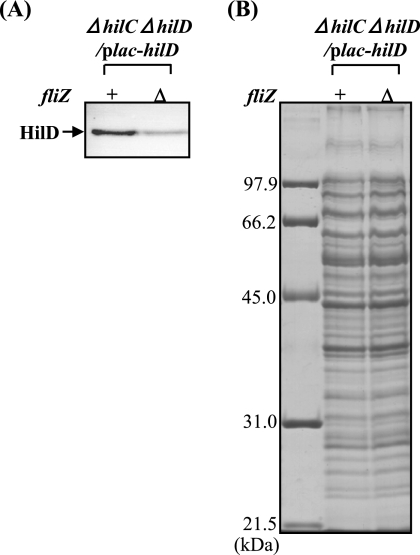 FIG. 7.