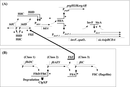 FIG. 8.